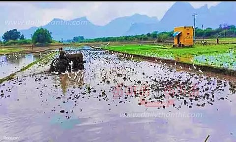 கோடை கால நெல் சாகுபடி பணிகள் தீவிரம்