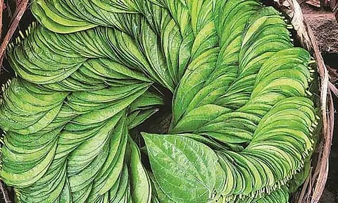 அந்தியூரில்ரூ.3½ லட்சத்துக்கு வெற்றிலை விற்பனை