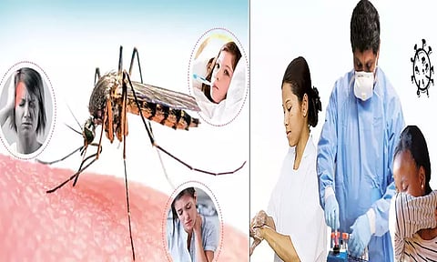 டெங்கு - கொரோனா: அறிகுறிகள், வேறுபாடுகள்