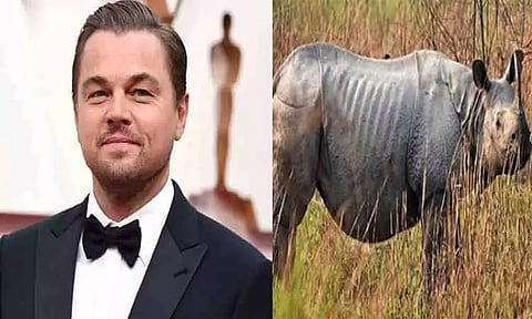 காண்டாமிருகங்கள் கொல்லப்படுவதற்கு எதிராக சிறப்பான நடவடிக்கை; அசாம் அரசுக்கு நடிகர் டிகாப்ரியோ பாராட்டு