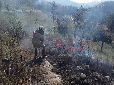 ஏற்காடு வனப்பகுதியில் திடீர் காட்டு தீ