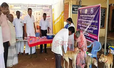 செல்லப்பிராணிகளுக்கு வெறிநோய் தடுப்பூசி முகாம்
