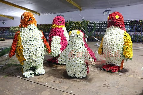 மலர், காய்கனி கண்காட்சி இன்று தொடங்குகிறது