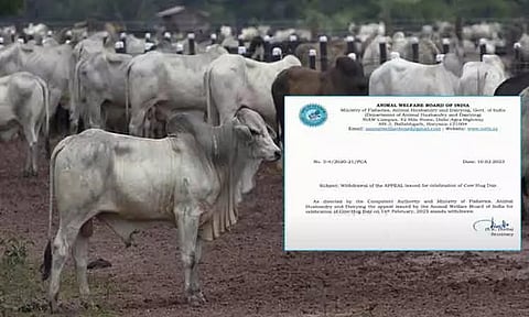 பிப்ரவரி 14-ந்தேதி பசுக்களை கட்டிப்பிடிக்கும் தினத்தை கொண்டாட வேண்டாம் என அறிவிப்பு