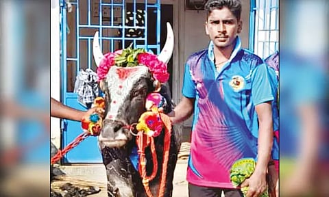 ஜல்லிக்கட்டு வீரர் கொடூர கொலை: கை, கால்களை கட்டி உடலை குட்டையில் வீசினர்