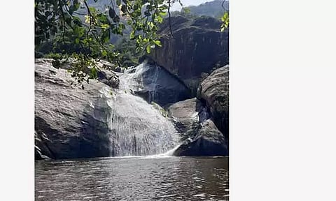 வியக்க வைக்கும் விருப்பாட்சி தலையூத்து அருவி சுற்றுலா தலமாகுமா?