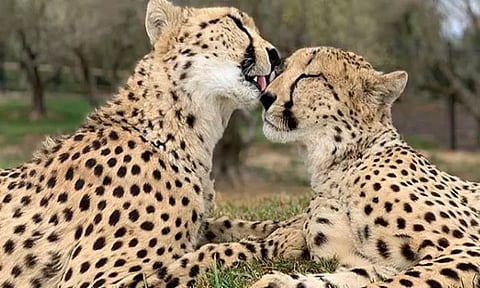 கோப்புப்படம் 