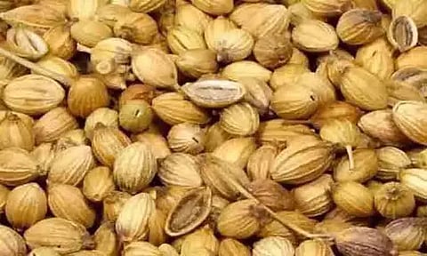 மல்லி விலை குறைந்தது