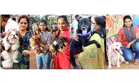 நாய்கள் கண்காட்சி