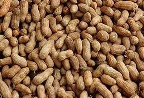 ரூ.1½ லட்சத்துக்கு நிலக்கடலை ஏலம்