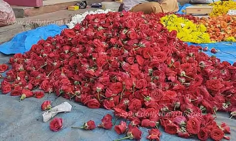 சிவகாசியில் குவிந்த ரோஜா பூக்கள்