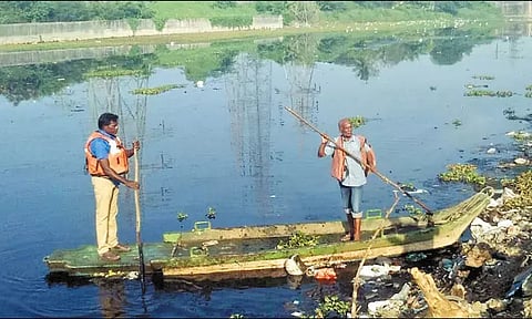 ஒரே நாளில் 2,919 தெருக்களில் கொசு ஒழிப்பு பணி