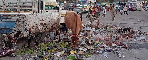 பஸ் நிலையத்தில் கொட்டப்படும் குப்பைகளால் துர்நாற்றம்