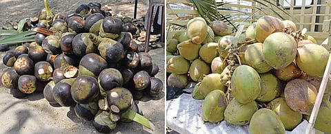 செயற்கையை தவிர்த்து உடலுக்கு நலம் தரும் இயற்கையை நாடலாமே!