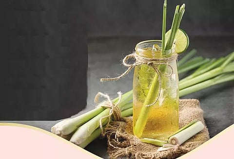 ரத்தசோகையை போக்கும் லெமன் கிராஸ்