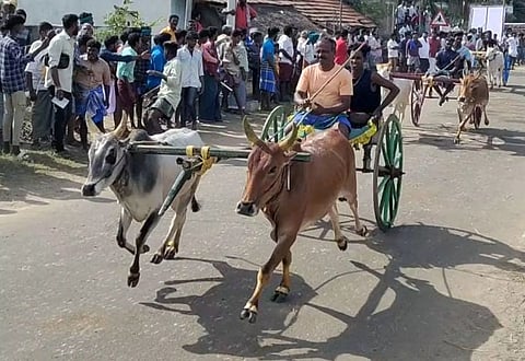 மாட்டு வண்டி பந்தயம்