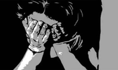 பெண் பாலியல் பலாத்காரம்; வாலிபர் சிக்கினார்