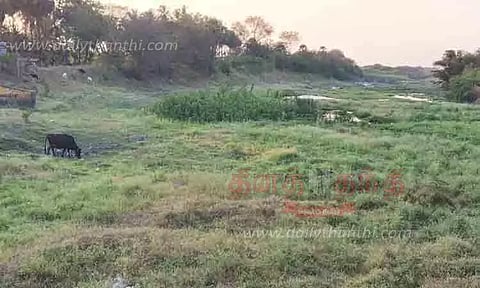 நீர்நிலைகளில் கருவேல மரங்கள் ஆக்கிரமிப்புகள் அகற்றப்படாத நிலை