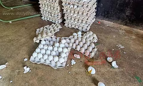 டீக்கடை, அங்கன்வாடியில் கரடி அட்டகாசம்