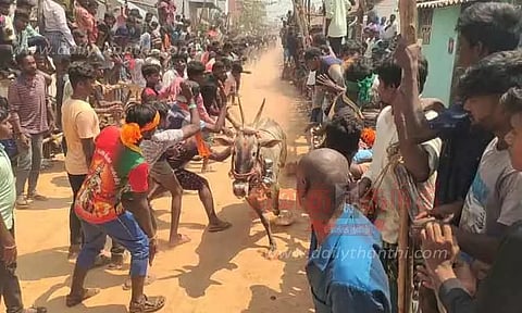 காளை விடும் விழா