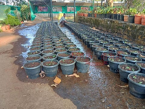 ஏற்காட்டில் கோடை விழா ஏற்பாடுகள் தொடக்கம்