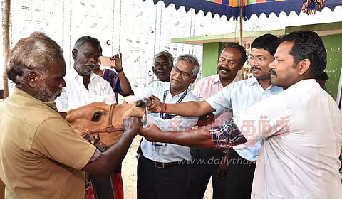 திருவண்ணாமலை மாவட்டத்தில் கால்நடைகளுக்கான கோமாரி நோய் தடுப்பூசி முகாம்