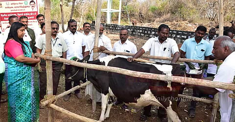 நாமக்கல் மாவட்டத்தில்3.31 லட்சம் கால்நடைகளுக்கு கோமாரி நோய் தடுப்பூசிகலெக்டர் ஸ்ரேயா சிங் தகவல்