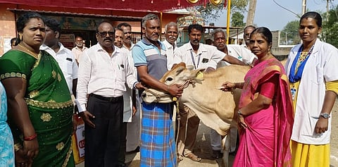 கோமாரி நோய் தடுப்பூசி முகாம்