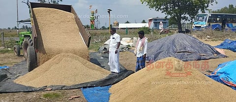 குவியல், குவியலாக குவிந்து கிடக்கும் நெல்மணிகள்
