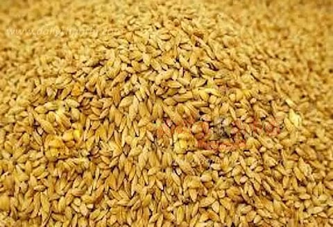 9 கிராமங்களில் நேரடி நெல் கொள்முதல் நிலையங்கள்