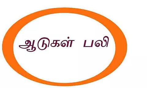 வெறிநாய் கடித்து 3 ஆடுகள் பலி