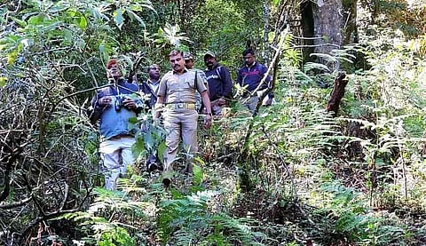 பறவைகள் கணக்கெடுக்கும் பணி