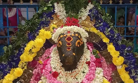 கள்ளக்குறிச்சி பகுதிசிவன் கோவில்களில் சனி பிரதோஷ வழிபாடு