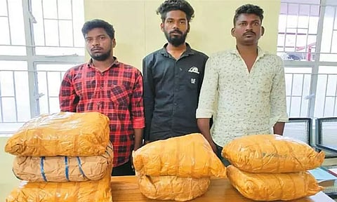 ஆந்திராவில் இருந்து ரெயிலில் கடத்திய 14 கிலோ கஞ்சா பறிமுதல்; 3 பேர் கைது