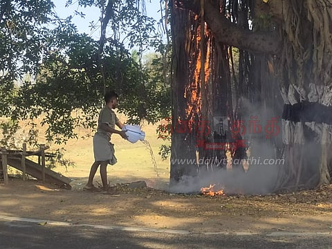 கொழுந்து விட்டு எரிந்த பழமையான ஆலமரம்; கண்டு கொள்ளாத வணிகர்கள்
