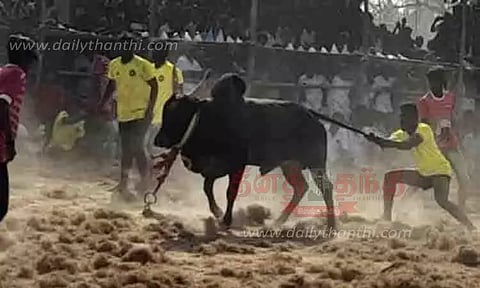 வாளறமாணிக்கத்தில் வடமாடு மஞ்சுவிரட்டு