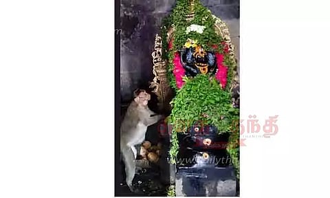 ஆஞ்சநேயரை அசையாமல் பார்த்து நின்ற குரங்கு