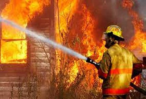 சிந்திகெரே வனப்பகுதியில் காட்டுத்தீ