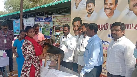 பழனியில் நாய்களுக்கு வெறிநாய் தடுப்பூசி