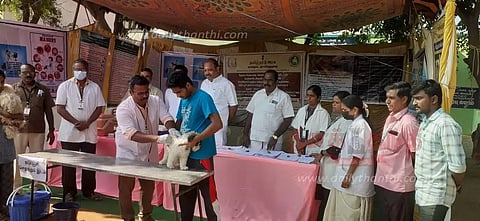 நாய்களுக்கு இலவச வெறிநோய் தடுப்பூசி முகாம்