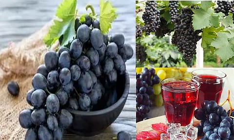 கருப்பு திராட்சையின் 10 ஆச்சரியமான நன்மைகள்