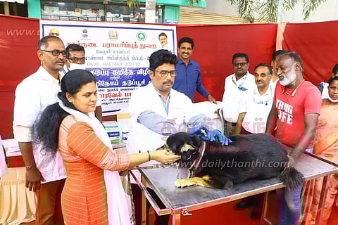 வளர்ப்பு நாய்களுக்கான இலவச வெறிநோய் தடுப்பூசி முகாம்