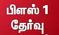 பிளஸ்-1 பொ துத்தேர்வை 10 ஆயிரத்து 317 மாணவ, மாணவிகள் எழுதினர்