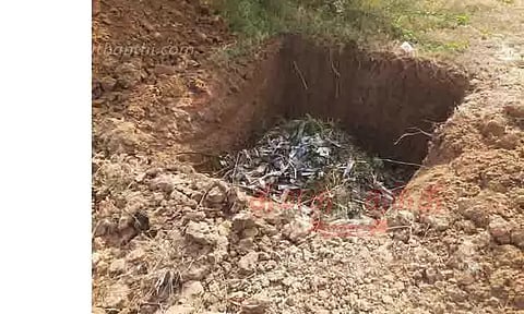 'தினத்தந்தி' செய்தி எதிரொலி: ஏகணிவயல் பெரிய ஏரியில் கொட்டப்பட்ட மருத்துவ கழிவுகள் அகற்றம்