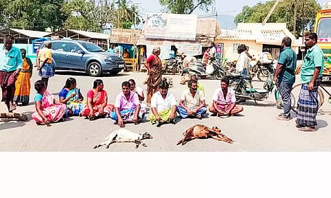 தெருநாய்களை பிடிக்கக்காரி கிராம மக்கள் சாலை மறியல்