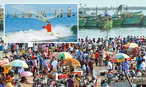 அதிக லாபம் தருகிறதா மீன்பிடி தொழில்?