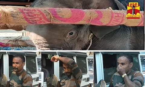 சரணாலயத்திற்கு சென்ற குட்டியானை - தேம்பி அழுத வன ஊழியர்..!