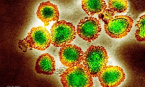 மராட்டியத்தில் எச்3என்2 காய்ச்சலுக்கு முதியவர் பலி