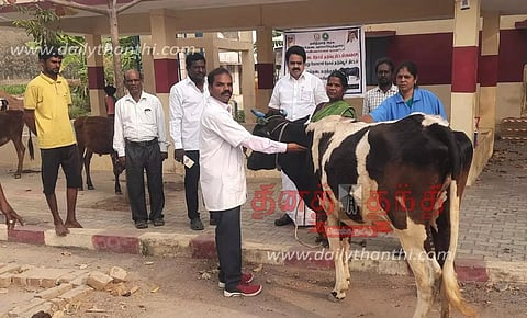 450 கால்நடைகளுக்கு கோமாரி நோய் தடுப்பூசி