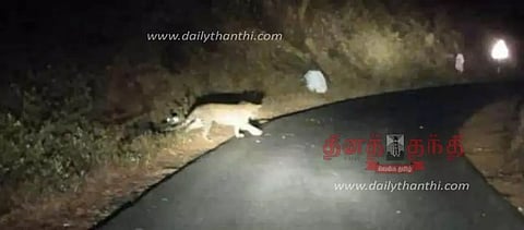 கடம்பூர் அருகே வனப்பகுதி ரோட்டை கடந்து சென்ற சிறுத்தை புலி; வாகன ஓட்டிகளுக்கு வனத்துறையினர் எச்சரிக்கை
